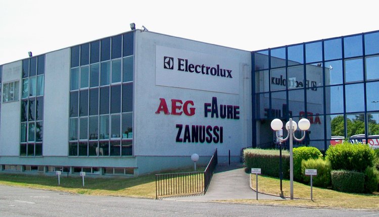 توكيل زانوسى مصر